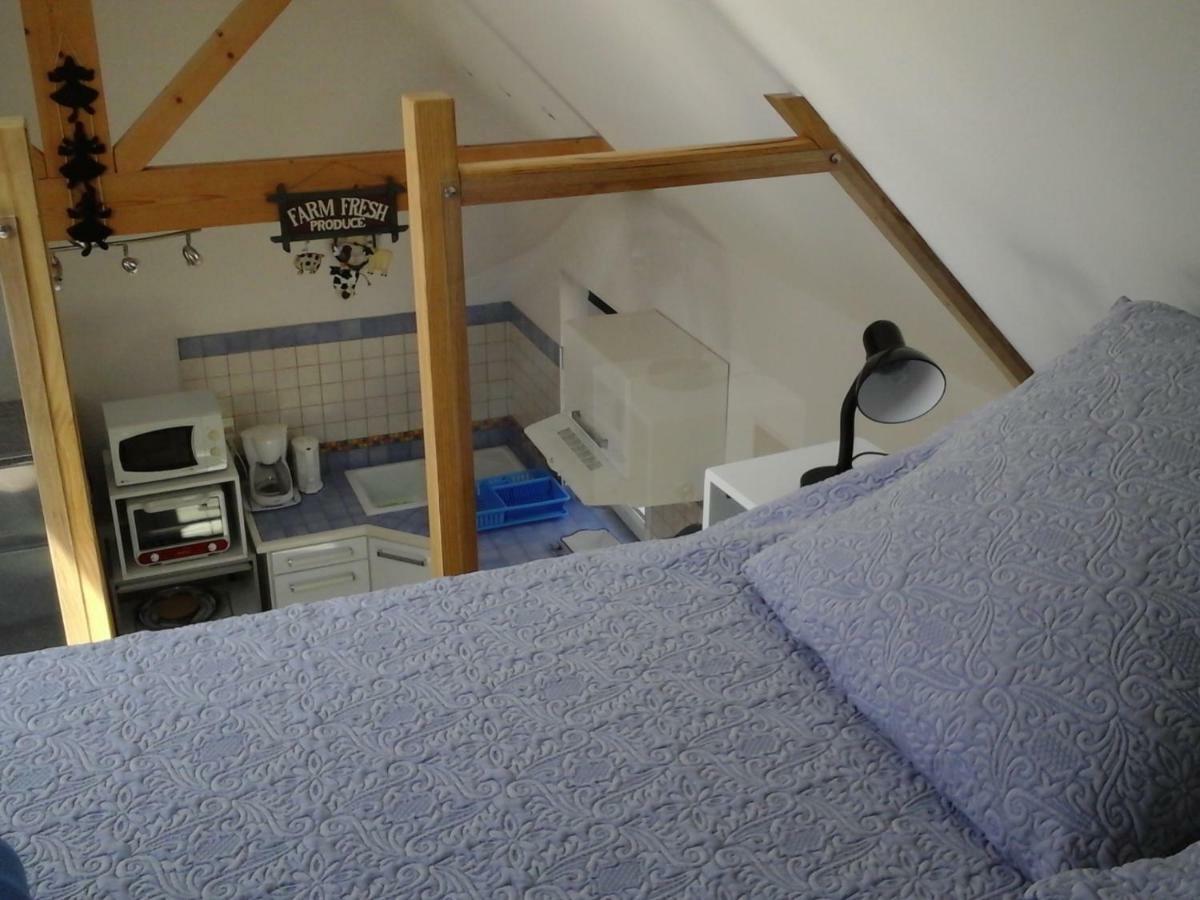 Les Hauts De Kerdrein Villa Saint-Jean-du-Doigt Eksteriør billede
